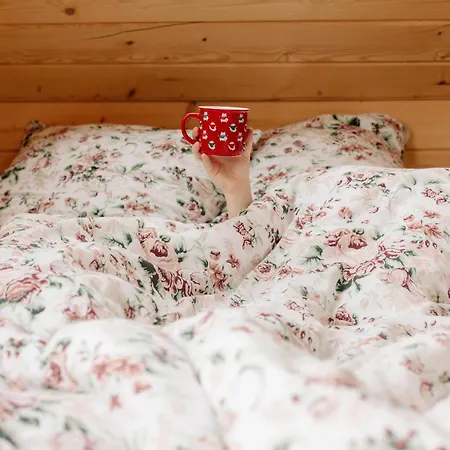 Drewniana Osada W Gorach Polne *